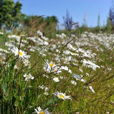 Semesterbostad Im Fischerdorf Und *