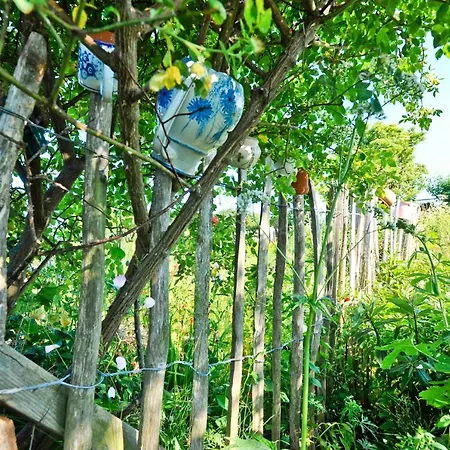 Im Fischerdorf Und Semesterbostad Neu Reddevitz