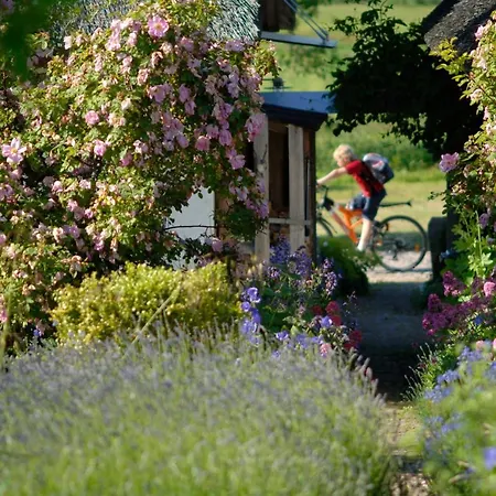 Im Fischerdorf Und Semesterbostad Neu Reddevitz