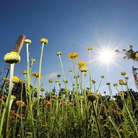 Semesterbostad Im Fischerdorf Und *