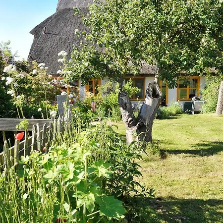 Im Fischerdorf Und * Neu Reddevitz