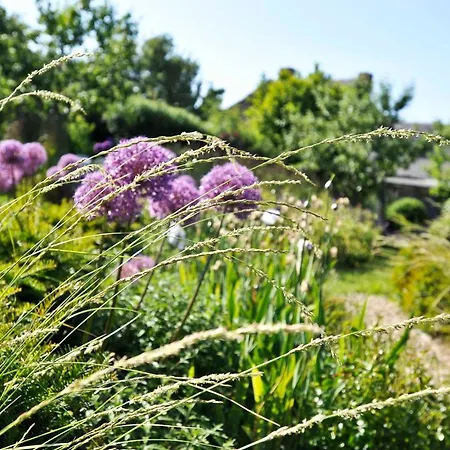 Im Fischerdorf Und Semesterbostad Neu Reddevitz