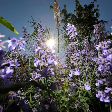 Im Fischerdorf Und * Neu Reddevitz