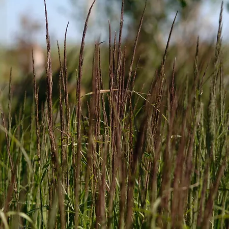 Im Fischerdorf Und Semesterbostad *