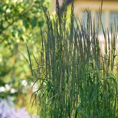 Im Fischerdorf Und Semesterbostad