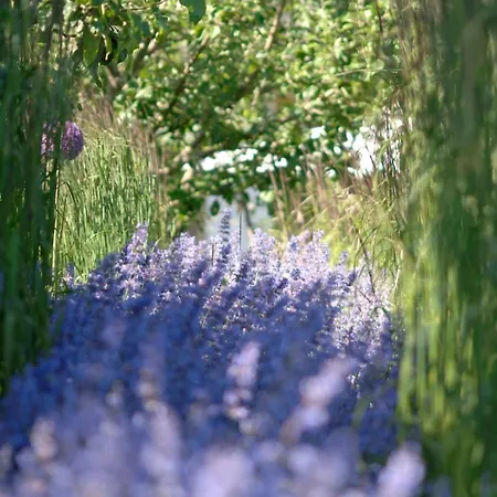 Im Fischerdorf Und * Neu Reddevitz